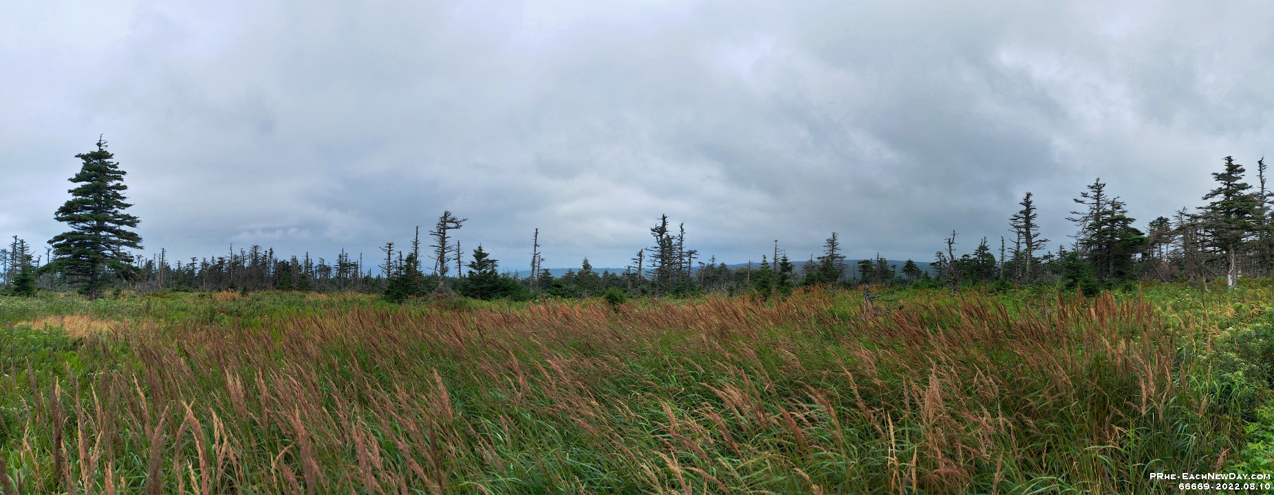 66669PaPeCrLe - At last! We hike the Skyline Trail, Cape Breton Highlands National Park, NS
